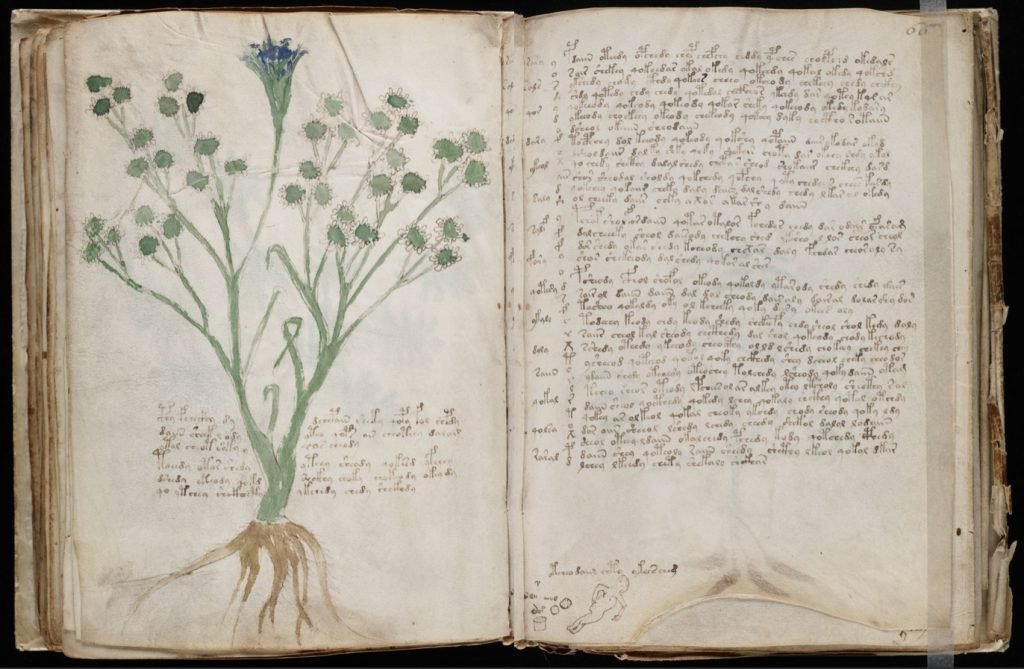 dibujos y letras del manuscrito de voynich
