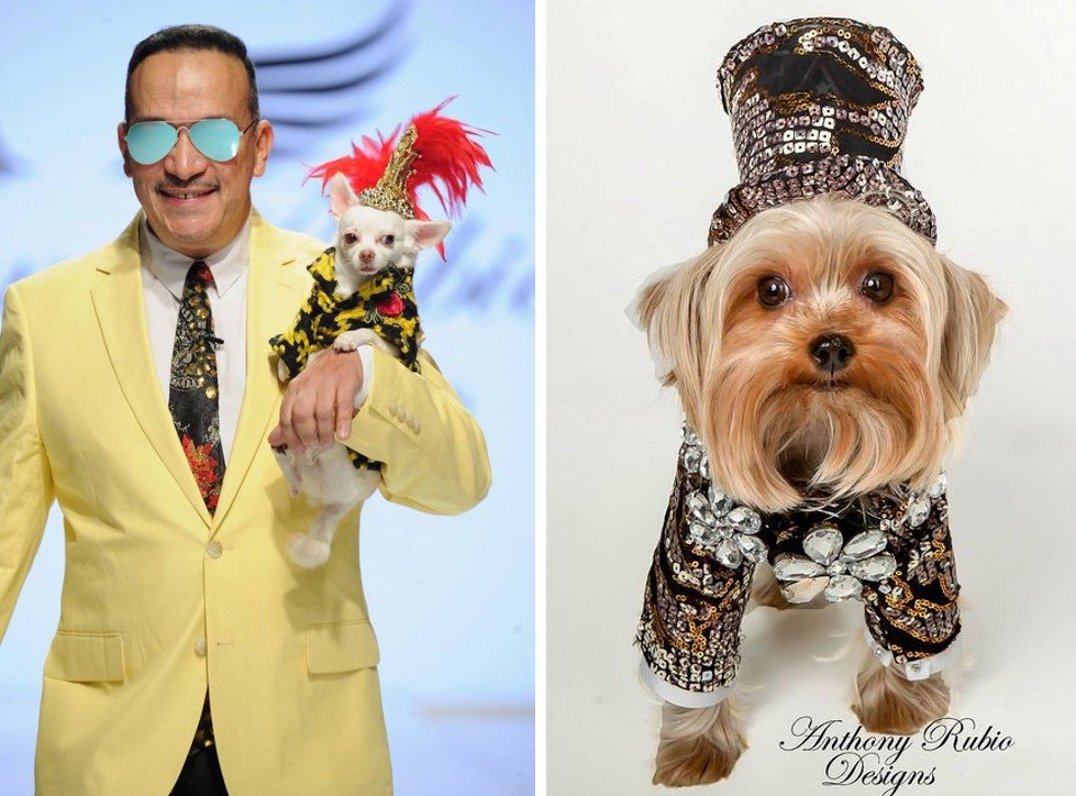 El diseñador Anthony Rubio tiene su propia imagen como una de las marcas de lujo para perros/ Pinterest