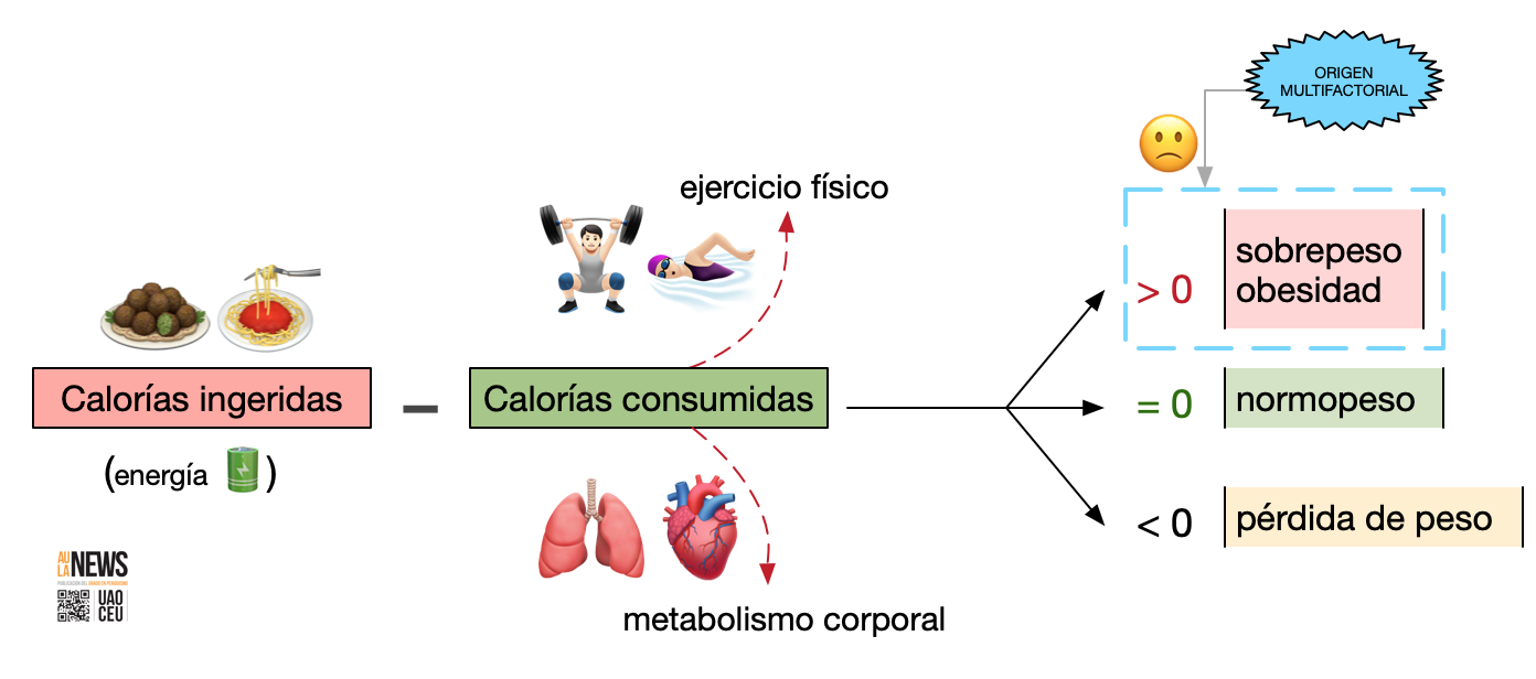 Balance energético corporal. Si las calorías ingeridas superan las consumidas, la ecuación se desplaza hacia el sobrepeso y la obesidad. El exceso de energía se acaba transformando en grasa