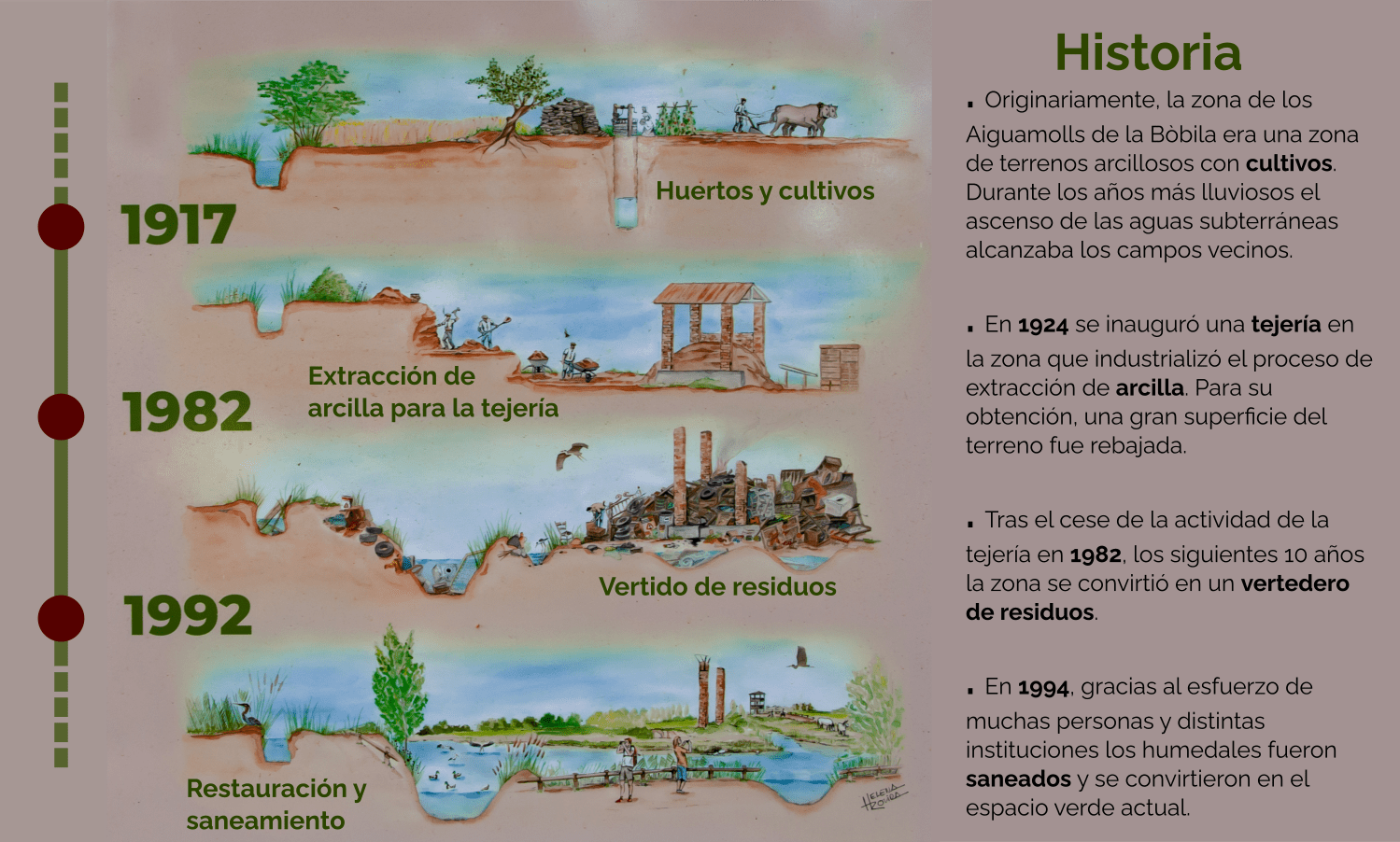 Historia dels aiguamolls de la Bòbila