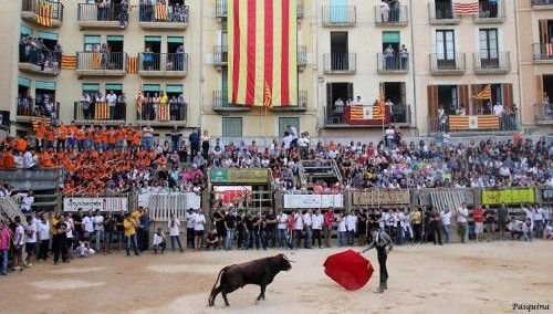Catalonia does not cut the ponytail of bullfighting
