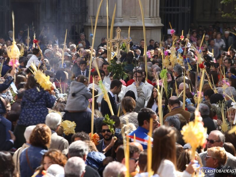 Palm Sunday: the true beginning of Holy Week