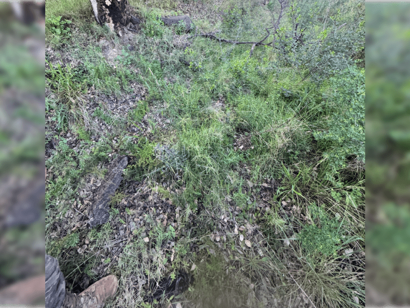 Más víctimas negras en Blanco