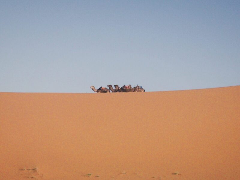 Travelling to Morocco: The Unforgettable Erasmus Trip